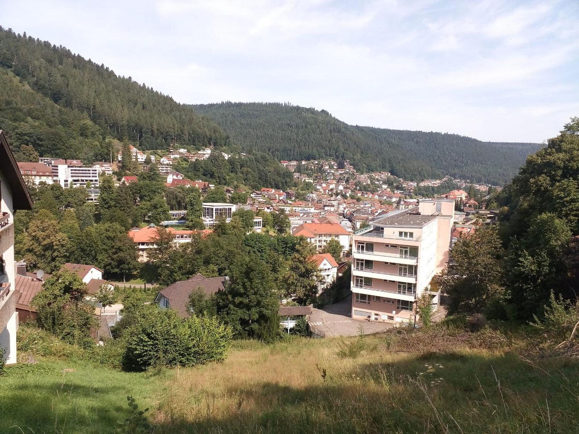 Ferienwohnung Tannenwald 巴特维尔德巴德 外观 照片