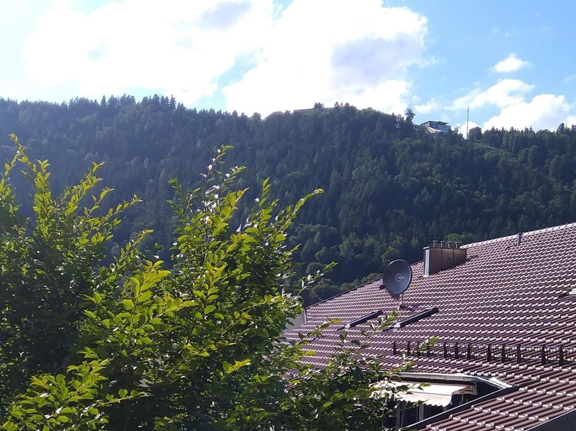 Ferienwohnung Tannenwald 巴特维尔德巴德 外观 照片