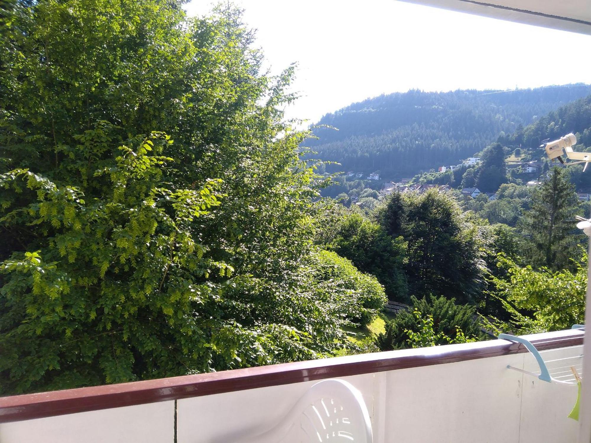 Ferienwohnung Tannenwald 巴特维尔德巴德 外观 照片